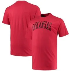 Champion Men's Cardinal Arkansas Razorbacks Big & Tall Arch Team Logo T-Shirt
