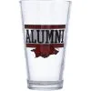 Indigo Falls Arkansas Razorbacks 16oz. Repeat Alumni Pint Glass -Deals Arizona Wildcats Store DSCO1136758828 INDINC