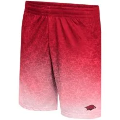 Men's Colosseum Cardinal Arkansas Razorbacks Walter Shorts -Deals Arizona Wildcats Store DSCO1136780822 4633 ALT2