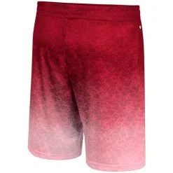Men's Colosseum Cardinal Arkansas Razorbacks Walter Shorts -Deals Arizona Wildcats Store DSCO1136780822 4633 ALT3