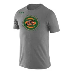 Men's Nike X LeBron James Gray Florida A&M Rattlers Collection Legend Performance T-Shirt -Deals Arizona Wildcats Store DSCO1138725373 1927 ALT2
