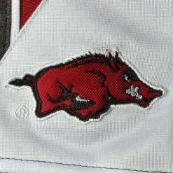Men's Colosseum Charcoal Arkansas Razorbacks Turnover Shorts -Deals Arizona Wildcats Store DSCO1145451605 1904 ALT2