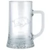 Indigo Falls Arkansas Razorbacks Frosted Etched Stein Glass -Deals Arizona Wildcats Store DSCO1146345243 INDINC