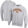 Champion Men's Heathered Gray Bethune-Cookman Wildcats Arch Over Logo Reverse Weave Pullover Sweatshirt -Deals Arizona Wildcats Store DSCO1153016738 1927