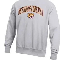 Champion Men's Heathered Gray Bethune-Cookman Wildcats Arch Over Logo Reverse Weave Pullover Sweatshirt -Deals Arizona Wildcats Store DSCO1153016738 1927 ALT2