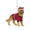 FOCO Arkansas Razorbacks German Shepherd Ornament 1 FOCO Arkansas Razorbacks German Shepherd Ornament -Deals Arizona Wildcats Store DSCO1153022280 0000