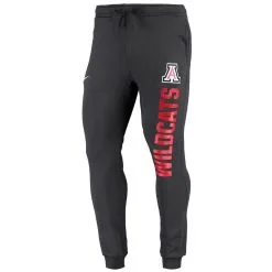 Nike Men's Anthracite Arizona Wildcats Primary Logo Club Fleece Joggers -Deals Arizona Wildcats Store DSCO1153025698 4096 ALT2
