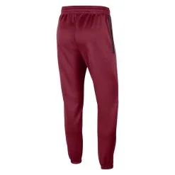 Nike Men's Cardinal Arkansas Razorbacks Team Logo Spotlight Performance Pants -Deals Arizona Wildcats Store DSCO1154796057 4633 ALT3