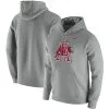 Nike Men's Heathered Gray Arkansas Razorbacks Vintage School Logo Pullover Hoodie -Deals Arizona Wildcats Store DSCO1158392338 1927