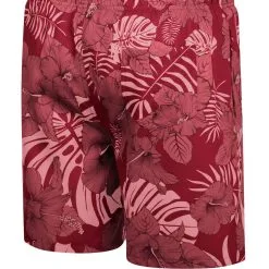 Colosseum Men's Cardinal Arkansas Razorbacks The Dude Swim Shorts -Deals Arizona Wildcats Store DSCO1159638289 4633 ALT3